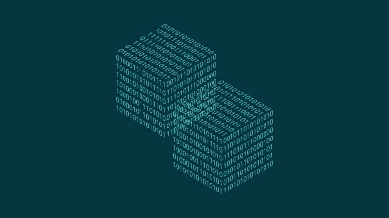 环县信创改造：网络应用开发流程标准化的核心路径与实践